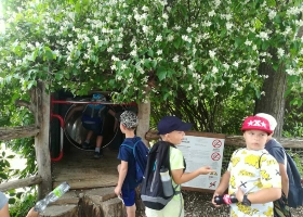 16-06-2019-skolni-vylet-1-a-a-b-do-prahy-parnikem-po-vltave-a-zoo_70.jpg