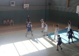 basket2012_7.jpg