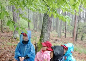 IMG_20250424_102851.jpg