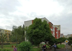 IMG_20250522_083703.jpg