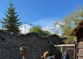 IMG_0928.jpg