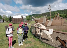 IMG_20250529_102004.jpg