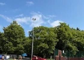IMG_1015.jpg