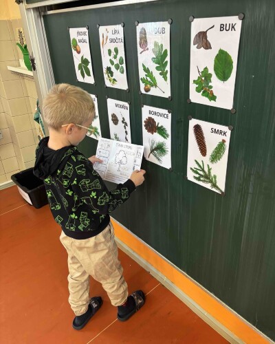 fotka carouselu Carousel