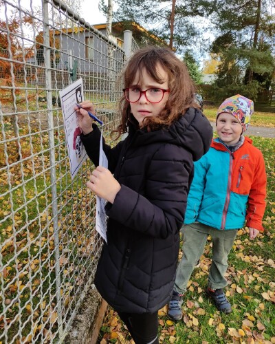 fotka carouselu Carousel