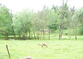 cyklistak-2012_31.jpg