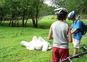 cyklistak-2012_30.jpg