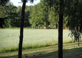 cyklistak_11.jpg