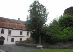 cyklistak_87.jpg