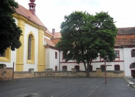 cyklistak_86.jpg