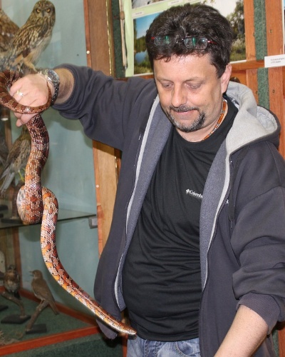 fotka carouselu Carousel