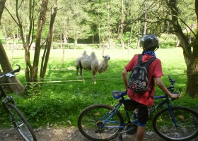 26-05-2017-cyklisticky-kurz-vojtuv-mlyn_38.jpg