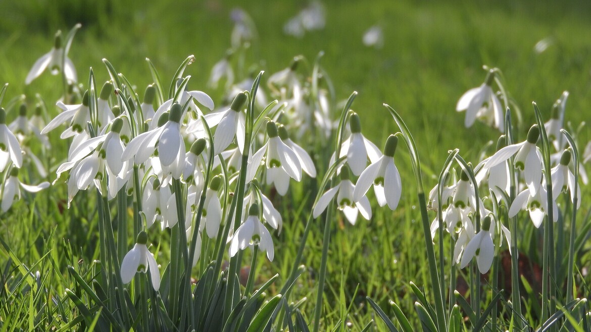 Pěkné jarní prázdniny