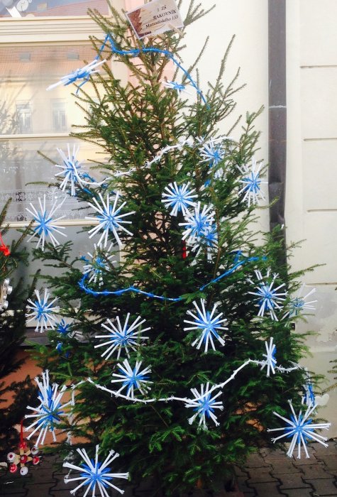 Vánoční stromky rakovnických škol před radnicí